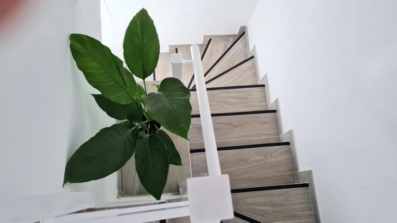 Apartamento Jameo Apartamento Punta Mujeres Exterior foto